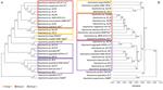 Comparative genomics reveals complex natural product biosynthesis capacities and carbon metabolism across host-associated and free-living Aquimarina (Bacteroidetes, Flavobacteriaceae) species
